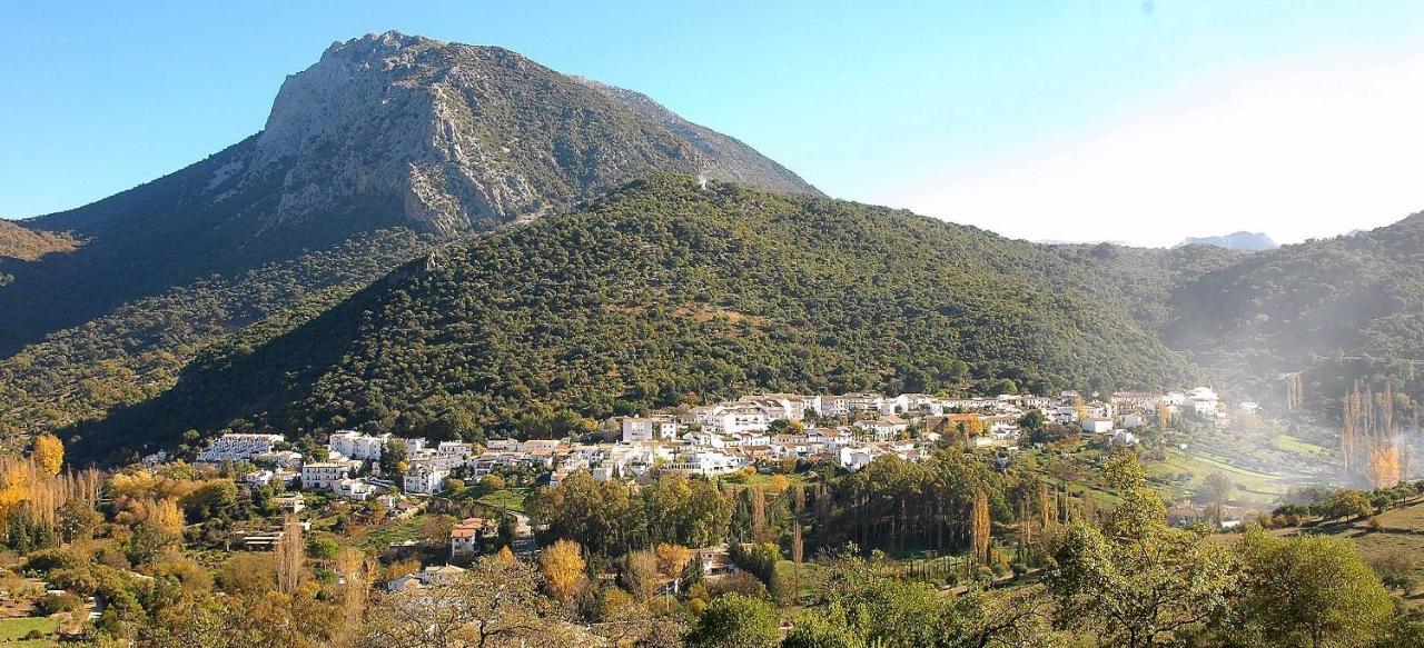 Casa La Rosa P.N. Sierra De Grazalema Guest House Бенамаома Екстериор снимка